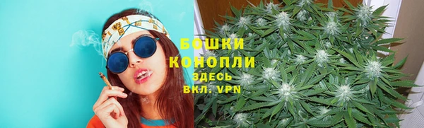 таблы Богданович