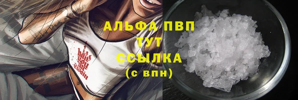 стаф Дмитров