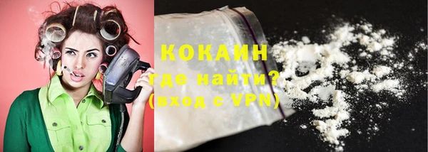 mix Богородицк