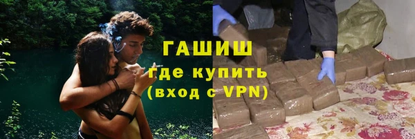 дживик Богородск