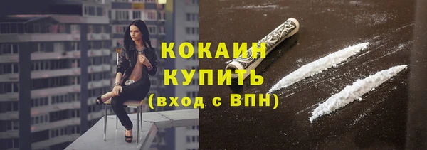 mix Богородицк