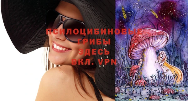mix Богородицк
