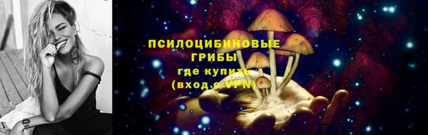 дживик Богородск