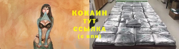 PSILOCYBIN Белоозёрский