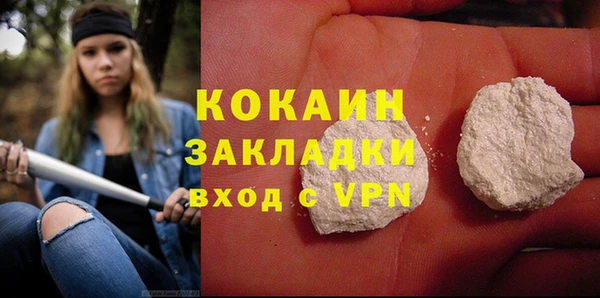 дживик Богородск