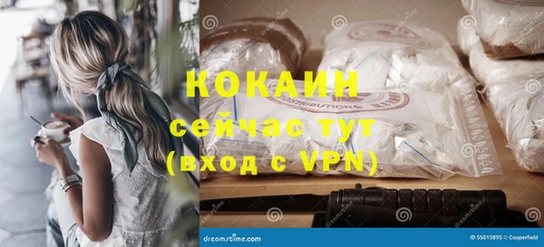 mix Богородицк