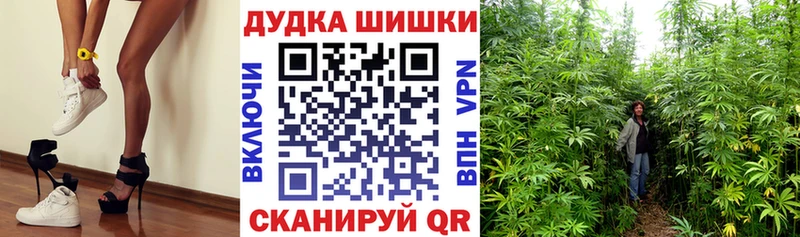 Каннабис марихуана купить наркоту Волосово